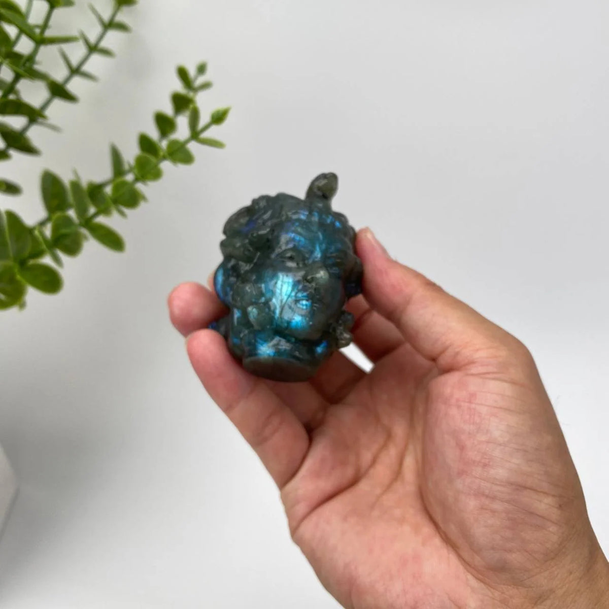 Natural Labradorite Medusa Carving