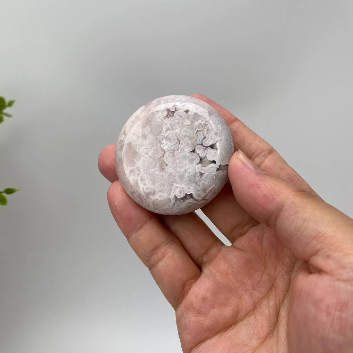 Natural Cherry Blossom Agate Floral-Inclusion Palm Stone
