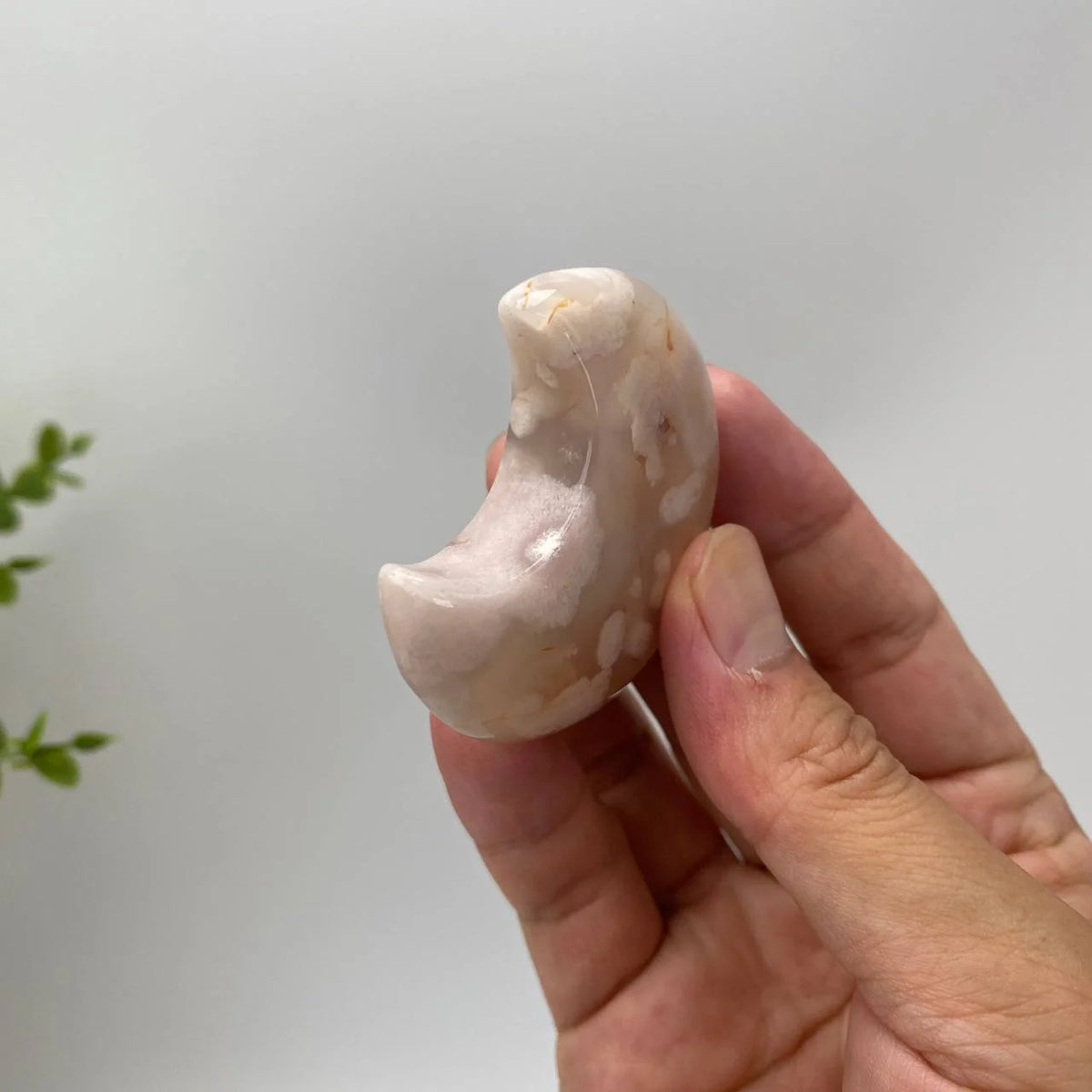 Natural Cherry Blossom Agate Clouded Crescent Moon