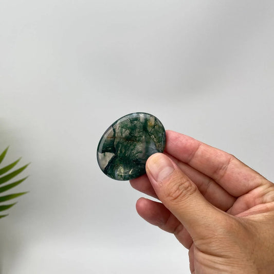 Natural Fern-Like Dendritic Moss Agate Worry Stone