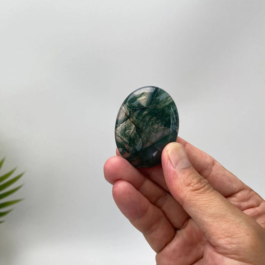 Natural Fern-Like Dendritic Moss Agate Worry Stone