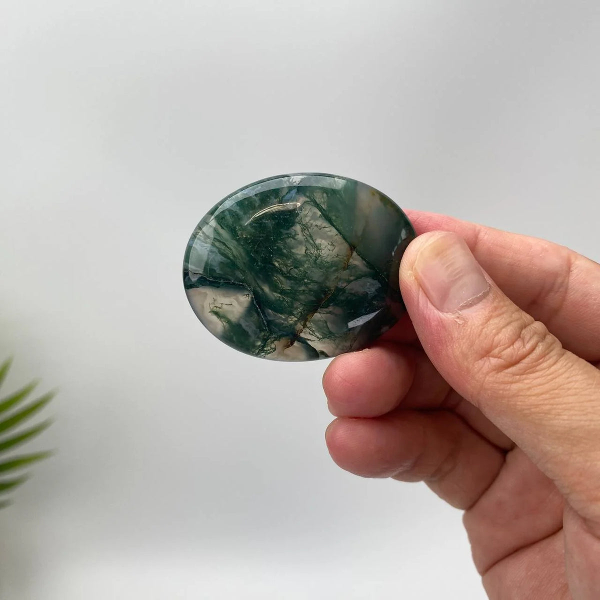 Natural Fern-Like Dendritic Moss Agate Worry Stone