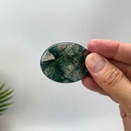 Natural Fern-Like Dendritic Moss Agate Worry Stone