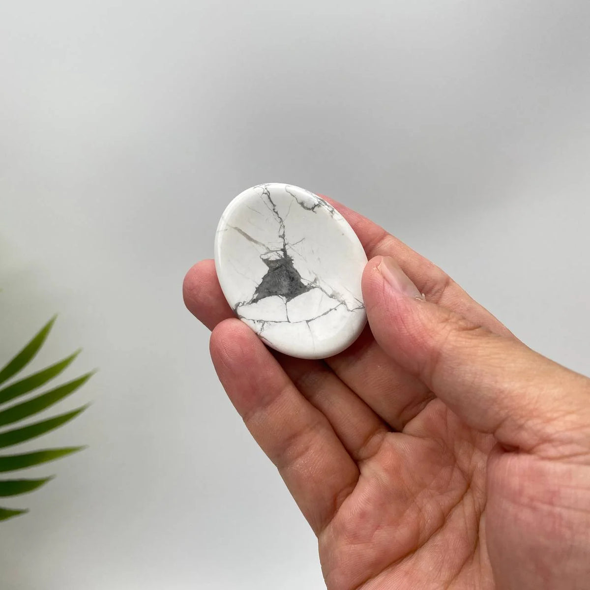 Natural Howlite Worry Stone with Dark Grey Veining