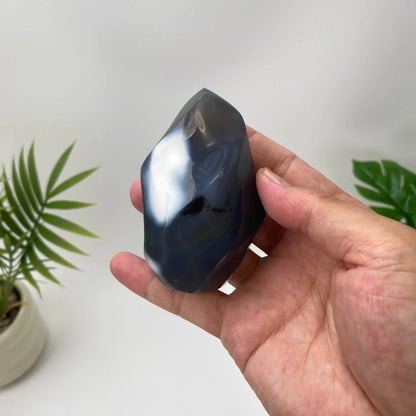 Natural Orca Agate Flame with Cloudy White Center