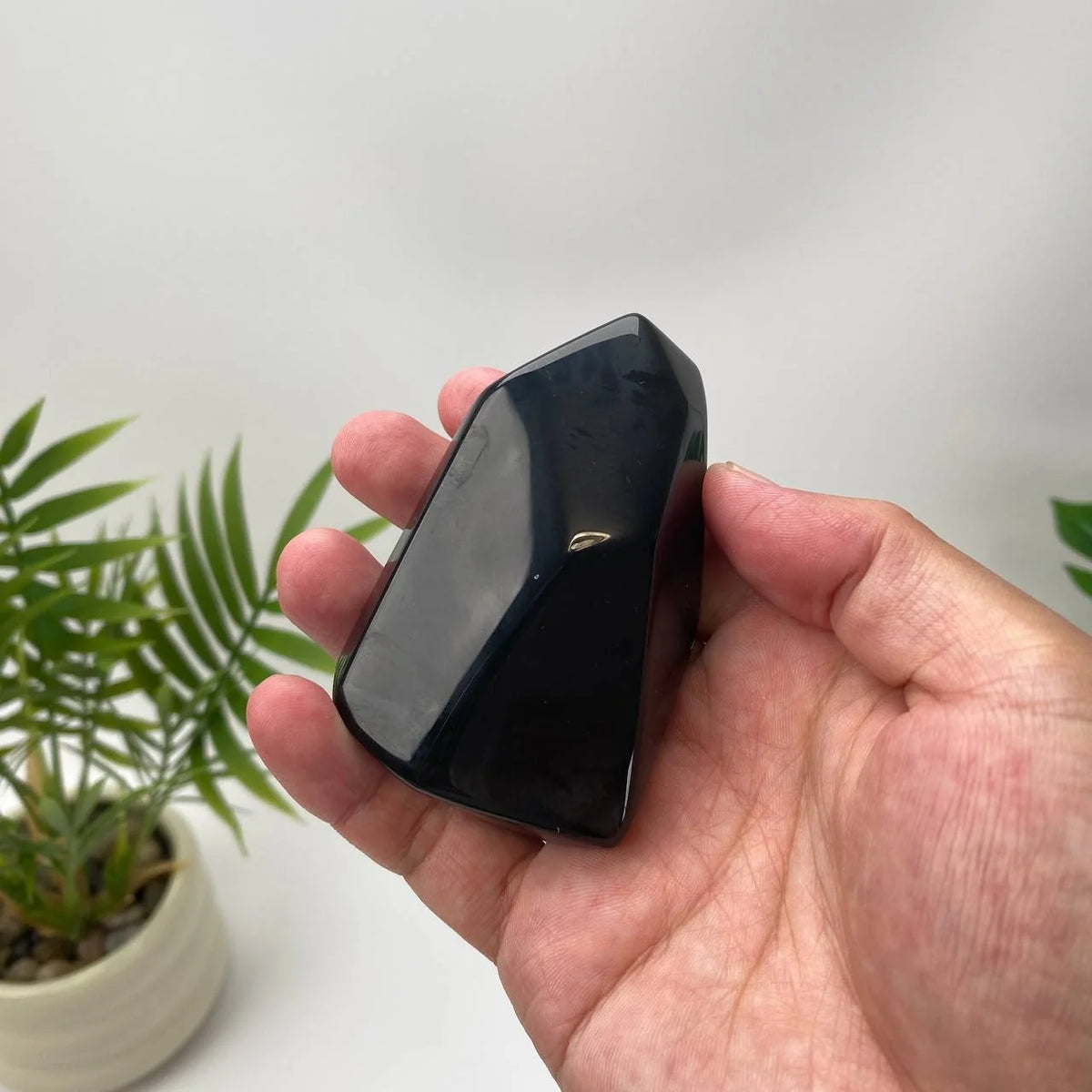 Natural Obsidian Mirror-Surface Freeform