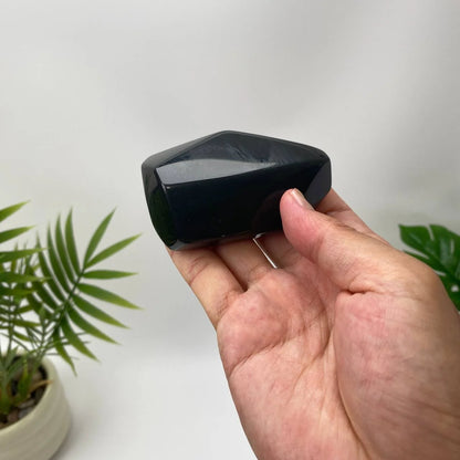 Natural Obsidian Mirror-Surface Freeform