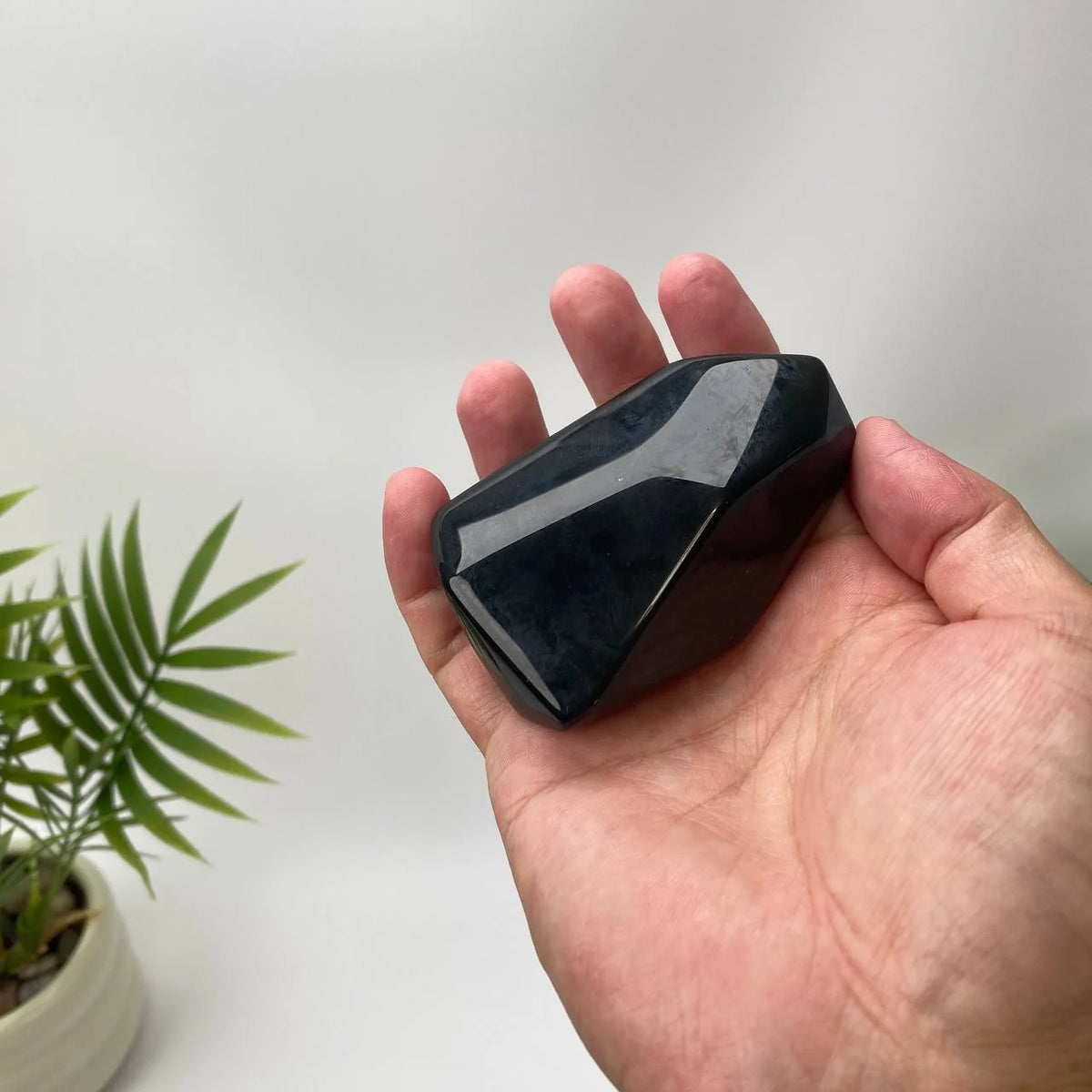 Natural Obsidian Mirror-Surface Freeform