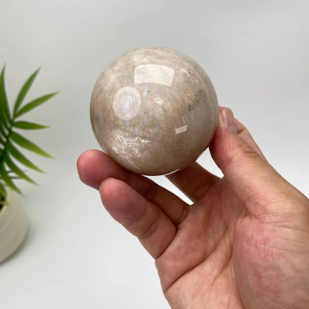 Natural Moonstone Adularescent Sphere