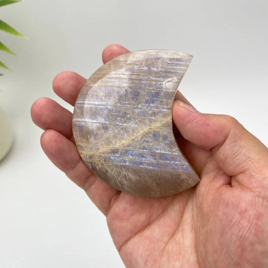 Natural Moonstone Crescent with Blue Adularescence