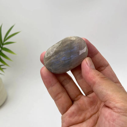 Natural Moonstone Soft Blue Flash Palm Stone