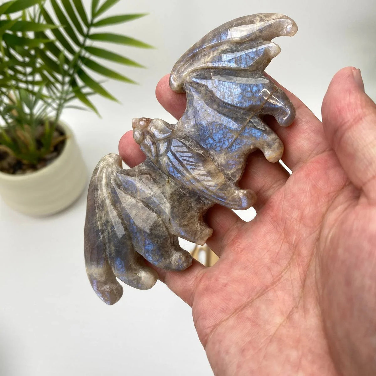 Natural Blue Adularescence Moonstone Bat with Stand