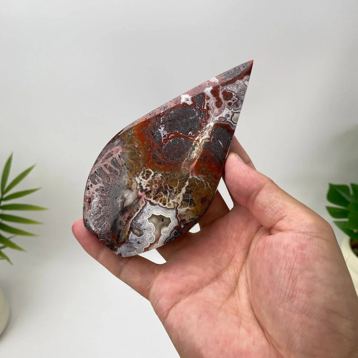 Natural Mexican Crazy Lace Agate Teardrop – Classic Red