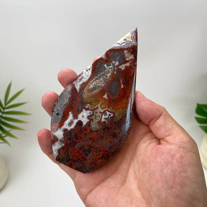 Natural Mexican Crazy Lace Agate Teardrop – Classic Red