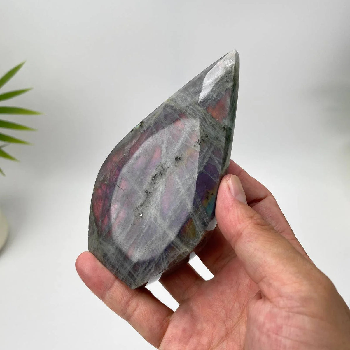 Natural Purple Labradorite Teardrop