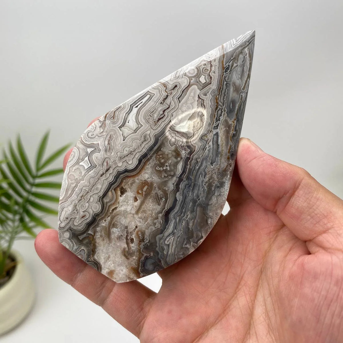 Natural Mexican Crazy Lace Agate Teardrop – Silver-Grey