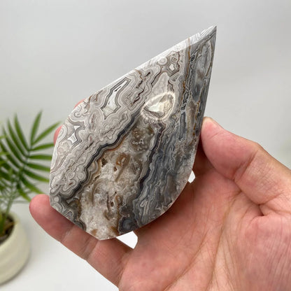 Natural Mexican Crazy Lace Agate Teardrop – Silver-Grey