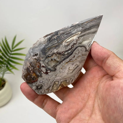 Natural Mexican Crazy Lace Agate Teardrop – Silver-Grey