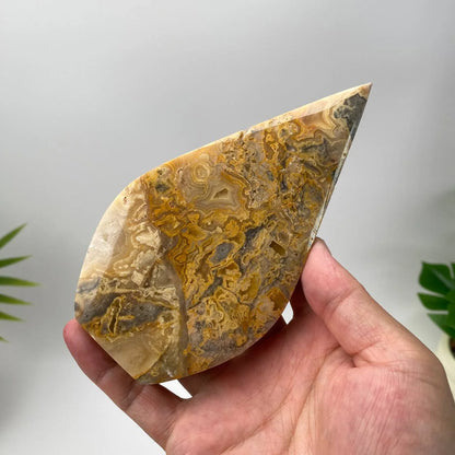 Natural Mexican Crazy Lace Agate Teardrop – Golden-Yellow