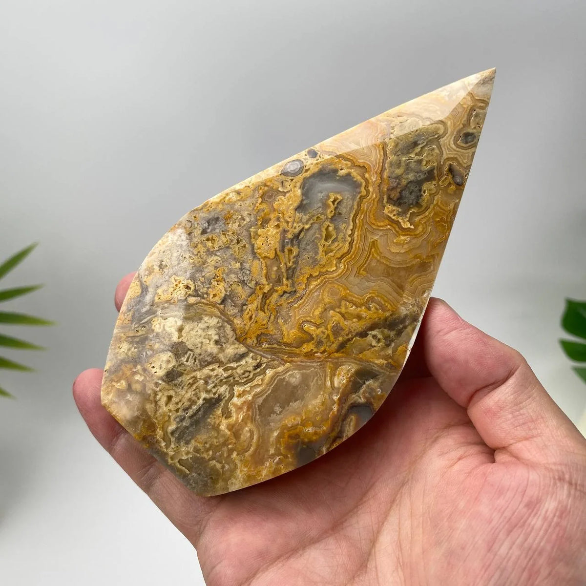 Natural Mexican Crazy Lace Agate Teardrop – Golden-Yellow