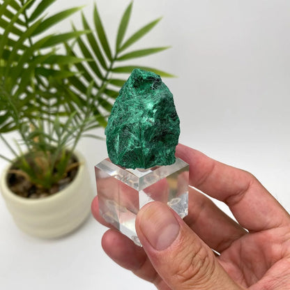 Natural Malachite Fibrous Mineral Specimen with Stand