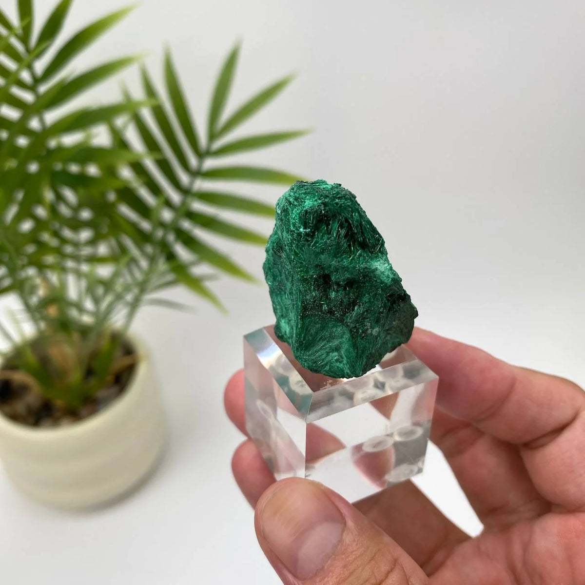 Natural Malachite Fibrous Mineral Specimen with Stand