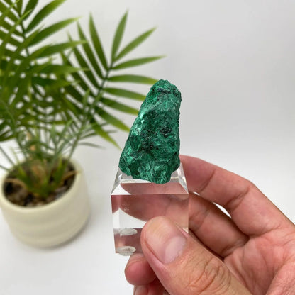 Natural Malachite Fibrous Mineral Specimen with Stand