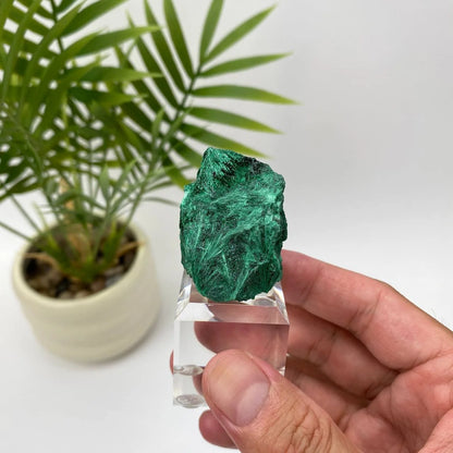 Natural Malachite Fibrous Mineral Specimen with Stand