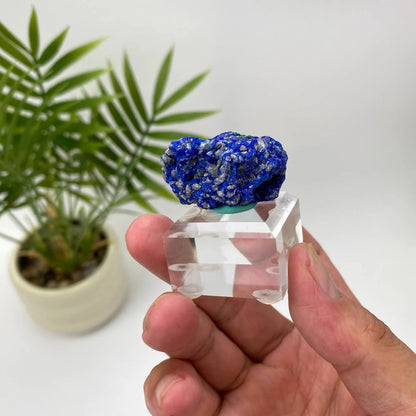 Natural Azurite Royal Blue & Emerald Green Mineral Specimen with Stand