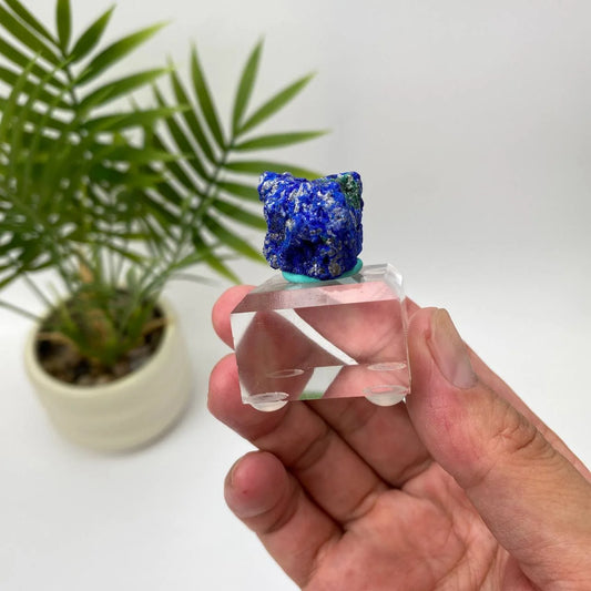 Natural Azurite Royal Blue & Emerald Green Mineral Specimen with Stand