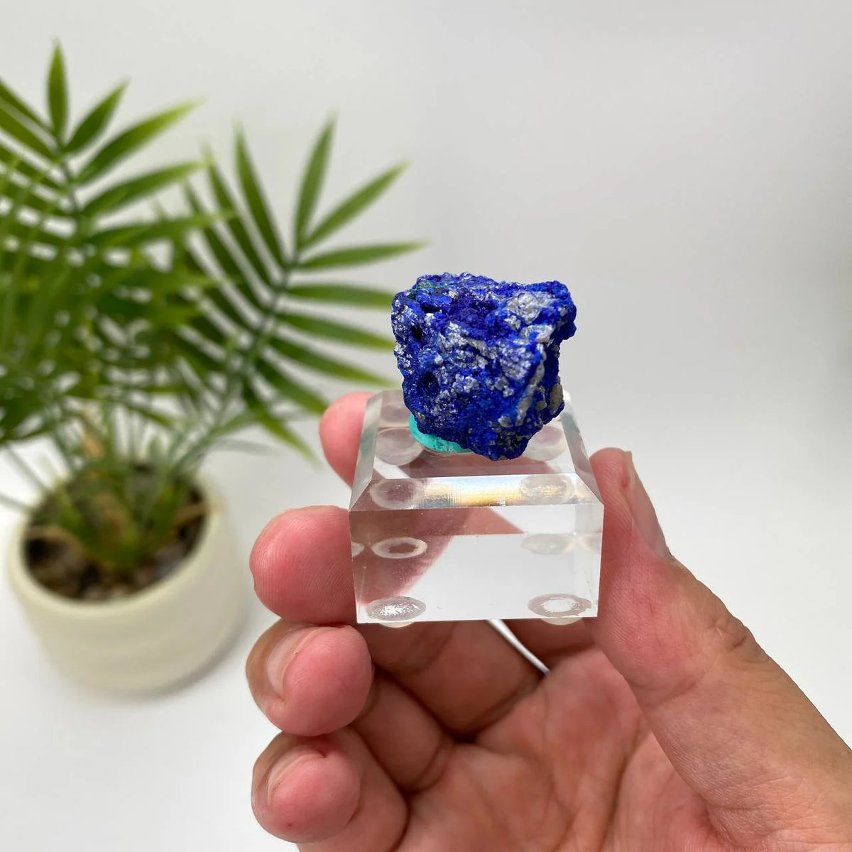 Natural Azurite Royal Blue & Emerald Green Mineral Specimen with Stand