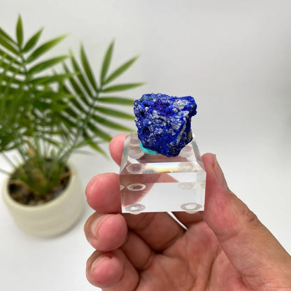 Natural Azurite Royal Blue & Emerald Green Mineral Specimen with Stand
