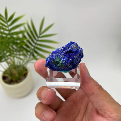Natural Azurite Royal Blue & Emerald Green Mineral Specimen with Stand