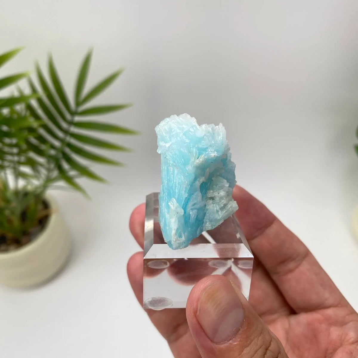 Natural Hemimorphite Crystal Specimen with Jagged Blue Formation with Stand