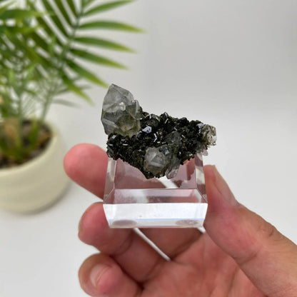 Natural Epidote in Quartz Seated Mineral Specimen with Stand