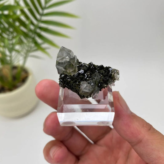 Natural Epidote in Quartz Seated Mineral Specimen with Stand