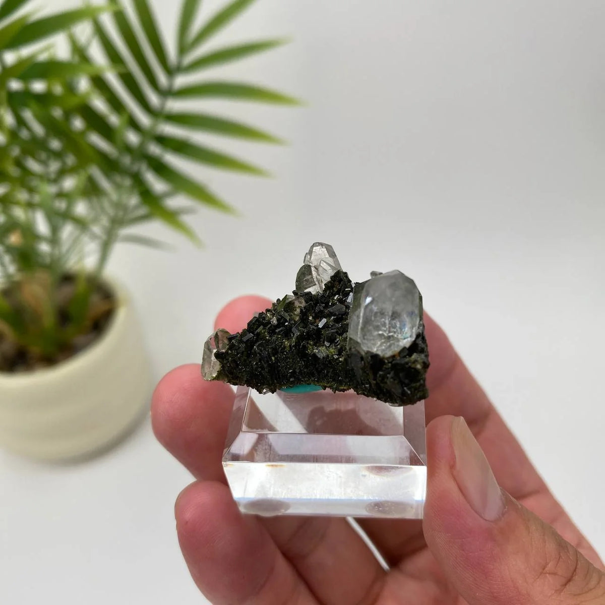 Natural Epidote in Quartz Seated Mineral Specimen with Stand