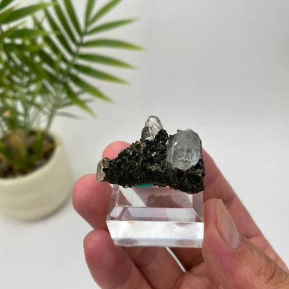 Natural Epidote in Quartz Seated Mineral Specimen with Stand
