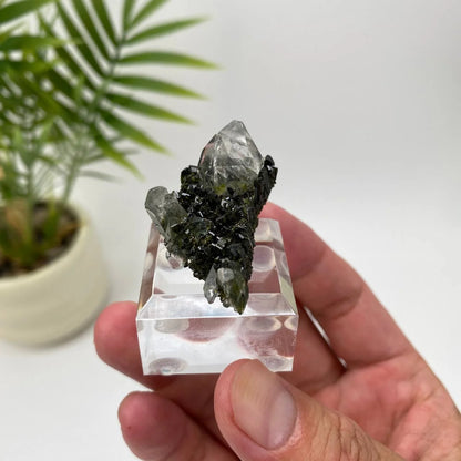 Natural Epidote in Quartz Seated Mineral Specimen with Stand
