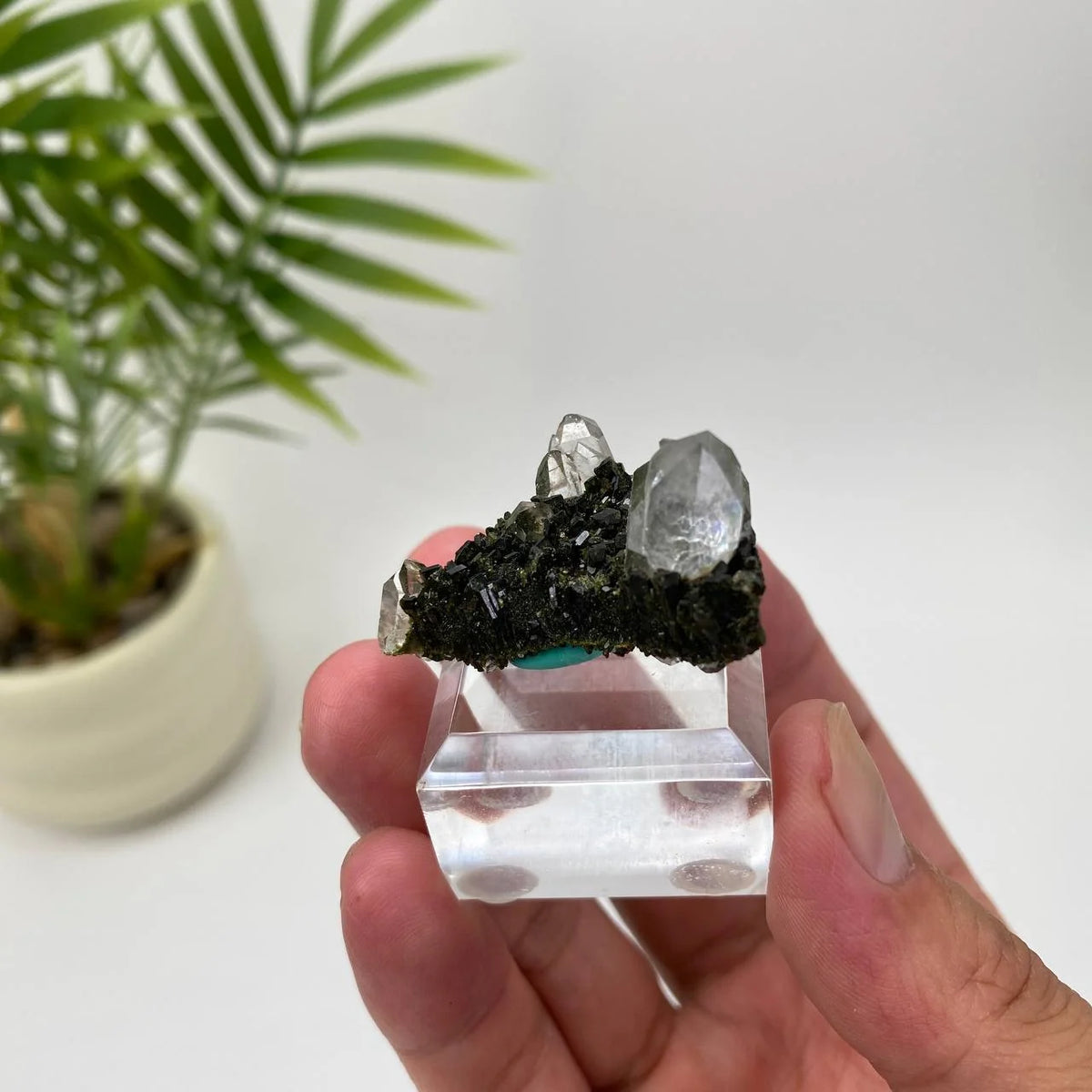 Natural Epidote in Quartz Seated Mineral Specimen with Stand
