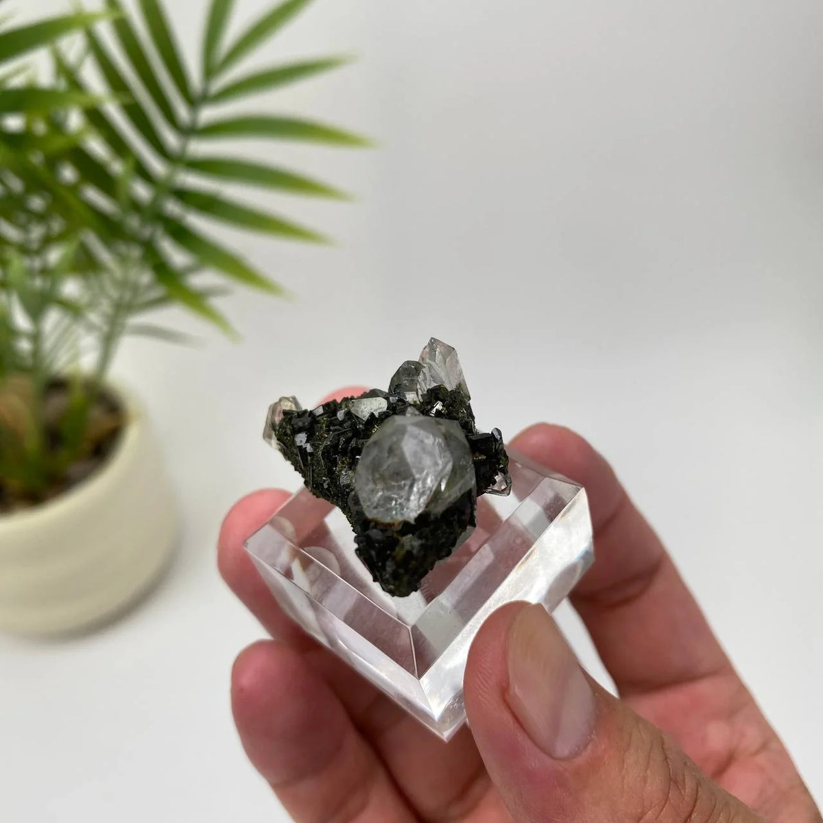 Natural Epidote in Quartz Seated Mineral Specimen with Stand