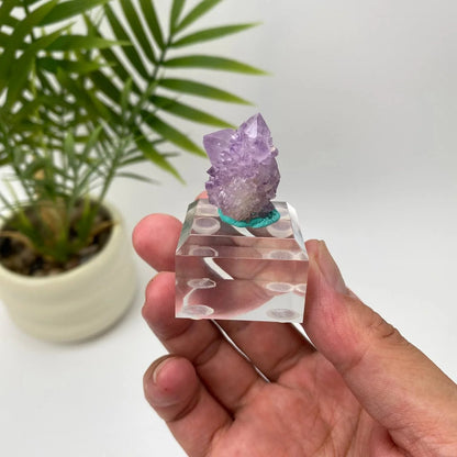 Natural Cactus Amethyst Teal-Base Specimen with Stand