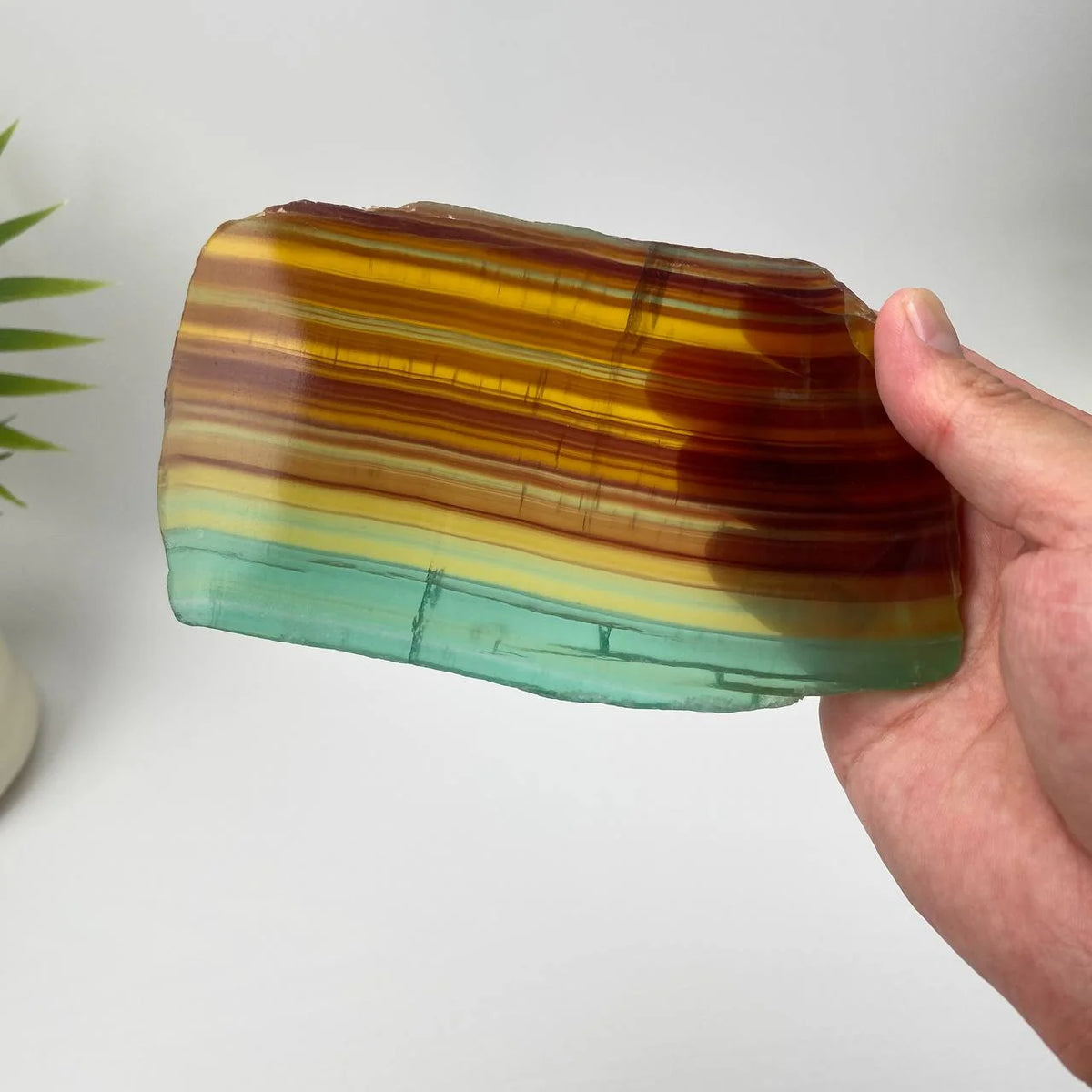 Natural Rainbow Fluorite Slice – Green and Amber Banded Slice with Stand