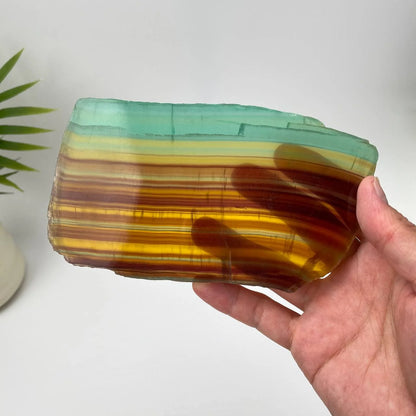 Natural Rainbow Fluorite Slice – Green and Amber Banded Slice with Stand