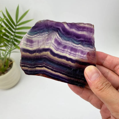 Natural Rainbow Fluorite Slice – Purple and White Banded Slice with Stand