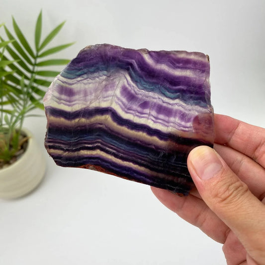 Natural Rainbow Fluorite Slice – Purple and White Banded Slice with Stand