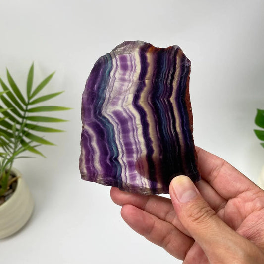 Natural Rainbow Fluorite Slice – Purple and White Banded Slice with Stand