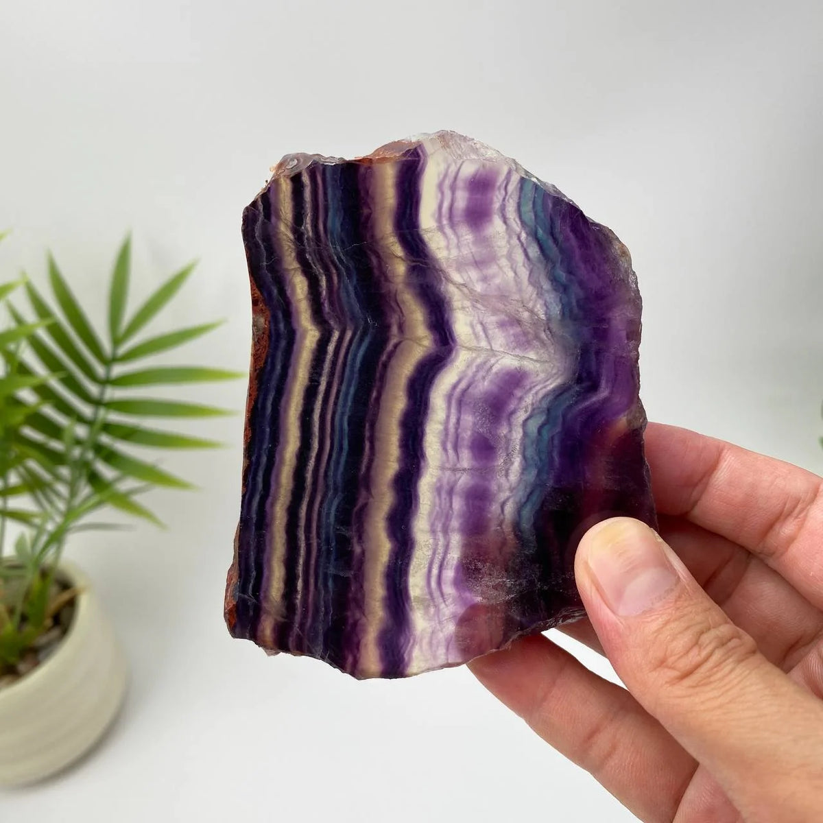 Natural Rainbow Fluorite Slice – Purple and White Banded Slice with Stand