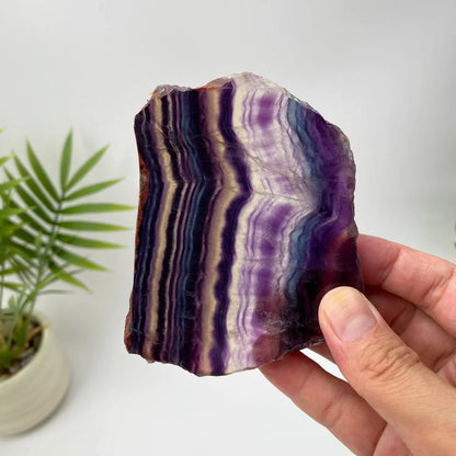 Natural Rainbow Fluorite Slice – Purple and White Banded Slice with Stand