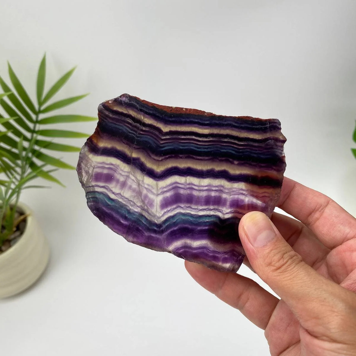 Natural Rainbow Fluorite Slice – Purple and White Banded Slice with Stand